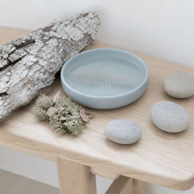 Meditation, forest bathing, and the real Brazilian detox