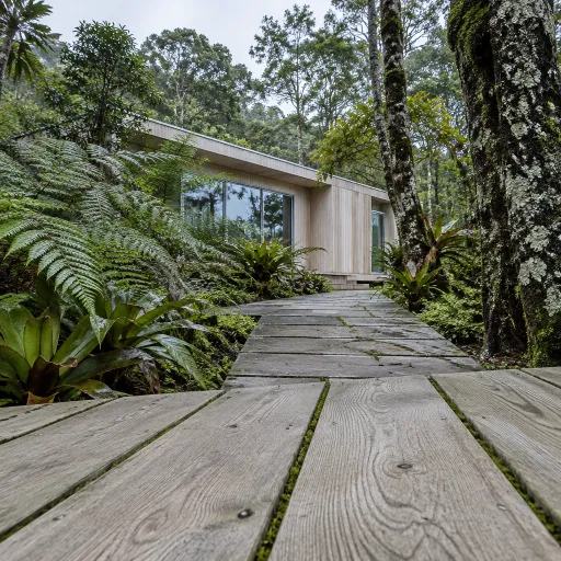 The forest at Rio's back: the Atlantic Forest lodges hiding an hour from the city