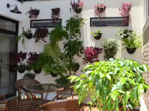 Hotel Casa Alfredo